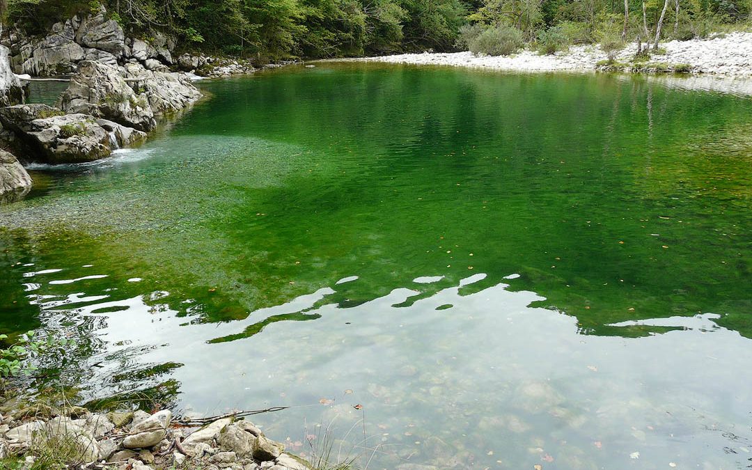 Olla de San Vicente